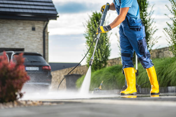 Best Roof Washing  in Belvidere, IL